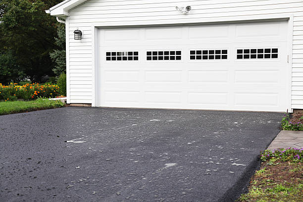 Best Historical Building Siding Restoration  in Petersburg, VA